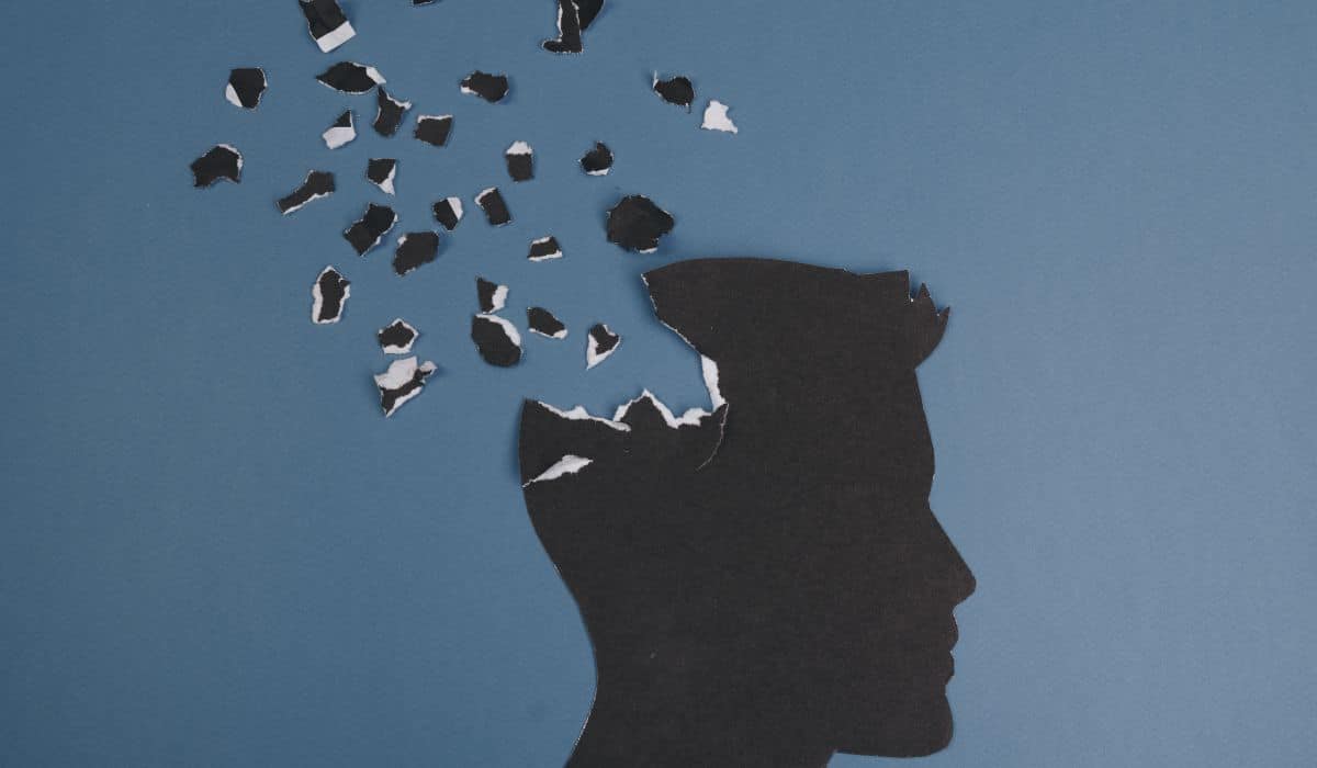 person's brain shatter in pieces cardboard
